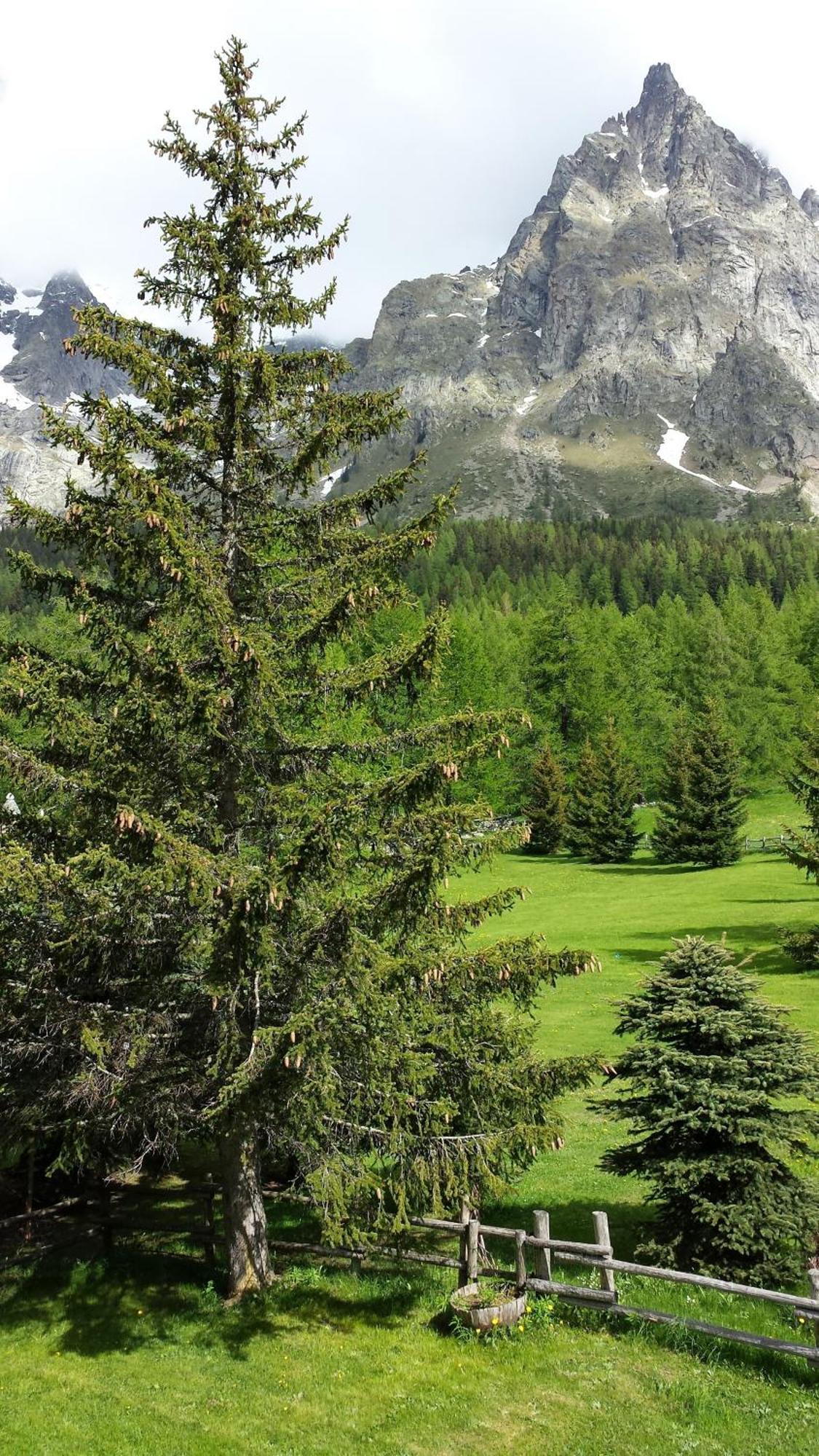 Hotel Locanda Belvedere Courmayeur Szoba fotó